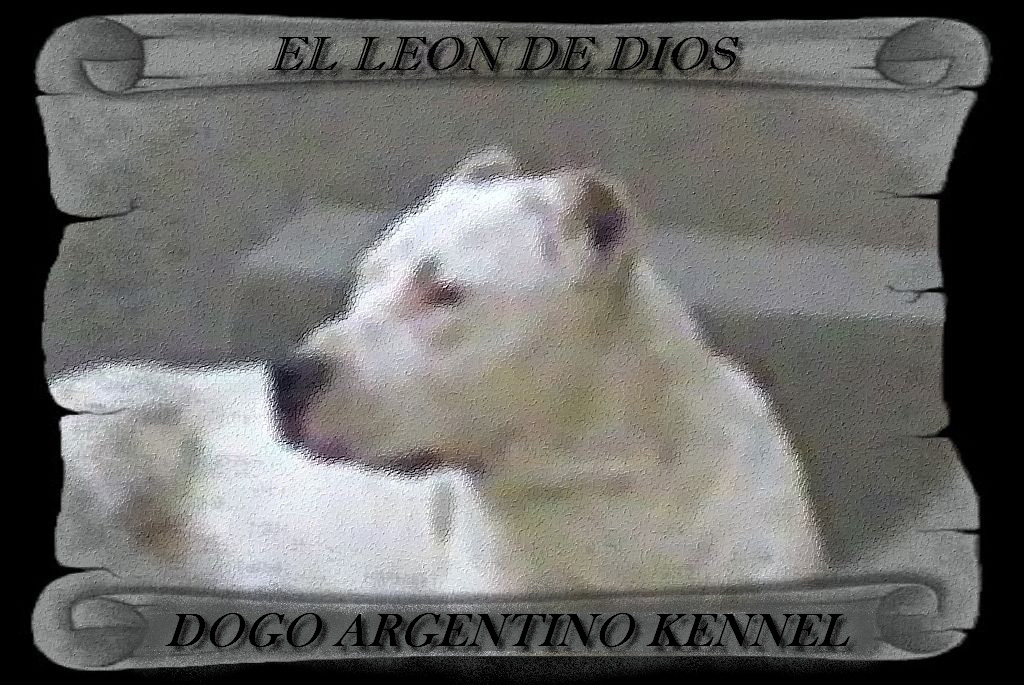 EL LEON DE DIOS Argentin dog kennel